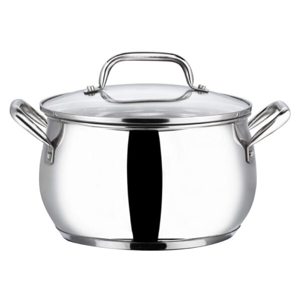 Vinod Stainless Steel Almaty Casserole with Glass lid,2.9 Ltr