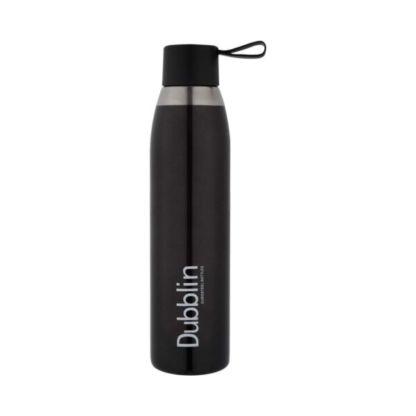 41BIcWlijWL._SL1001_ Dubblin Dolphin Stainless Steel Water Bottle 1000ml