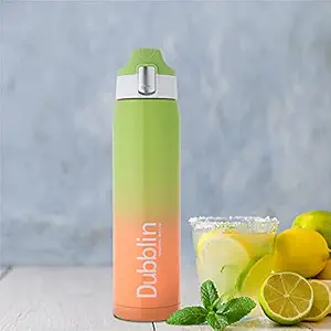 Dubblin Shade Stainless Steel Water Bottle,500 ml